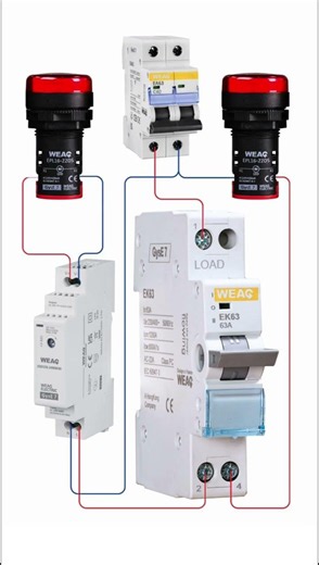 Transfer Switch Setup: Switching Between AC and DC Power.