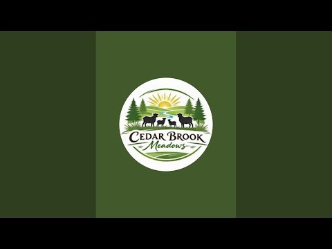 Cedar Live shop time. 🔐 Cut new or work on old?