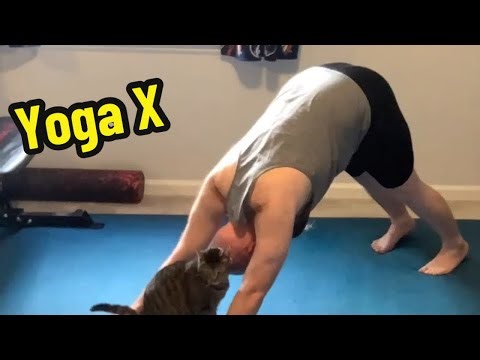 P90X: Day 39 - Yoga X