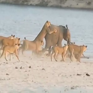 4.2K views · 327 reactions | Where do you want to go on your first...