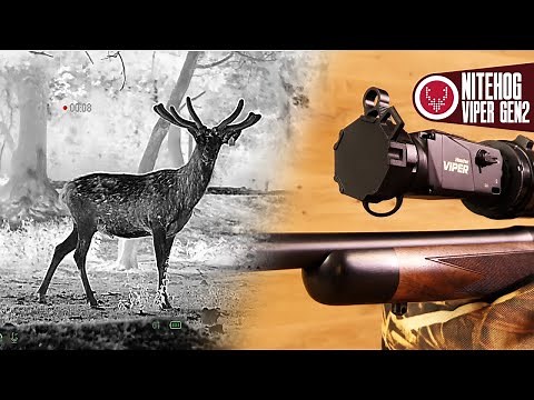 Nitehog Viper Hunter Gen 2 – Alle Details zum 🔥 brandneuen Nitehog Viper Wärmebildvorsatzgerät