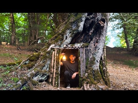 Building a Cozy Survival Shelter Inside a Tree | Bushcraft & Solo Camping