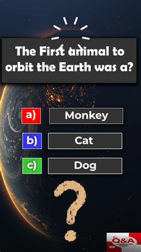 First Animal to Orbit Earth? #animalsinspace