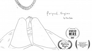 Perfect Vagina