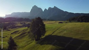 Seiser Alm Alpe di Siusi at Summer in Italian Dolomites, South Tyrol Trentino Alto Adige, Italy. Alpine green meadow, wooden cabin hut. Sassolungo and Sassopiatto mountains.