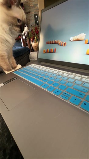 Do Cats Really Play Computer Games? Let’s Find Out! #cats #catgames