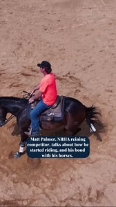 Behind the "cowboy" sport of horse reining
