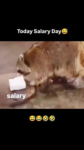 2.5M views · 10K reactions | Tag ur Friends Salary day 藍 #friend...