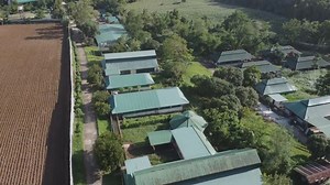 7.5K views · 110 reactions | Launching of PIGS App, ITCPH’s Latest...