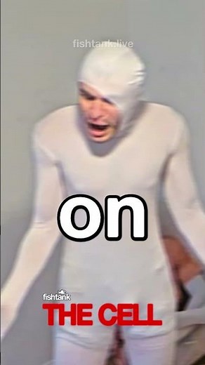 WOCK IN! #fishtank #fishtanklive