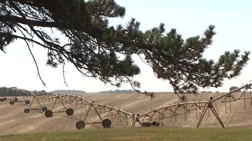 Omaha attorney shares concerns from business owners future immigration policies