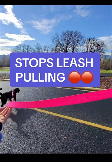 How Longer Leashes Reduce Dog Leash Pulling