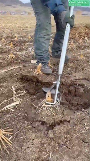 🌱🔧 Hand-Lever Root Puller for Corn Stubble Removal