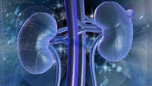 Cisto renal (simples, complexo, cortical, Bosniak)