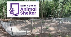 Kent County Animal Shelter adds outdoor enclosure with $90K gift