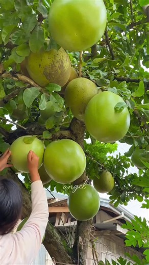 aakhil on Instagram: "🫂💯"