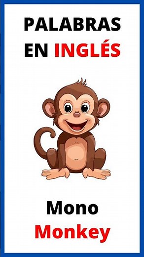 🔎 ¿Cómo se dice MONO en INGLÉS?