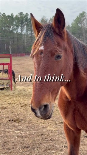 Sarah Doyle🐶 (@sarah.doyle82)’s videos with original sound - Sarah Doyle🐶