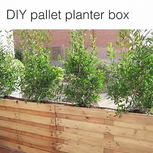 759K views · 563 reactions | What an incredible result  Credit: STEFFIDO | Howlers | Facebook