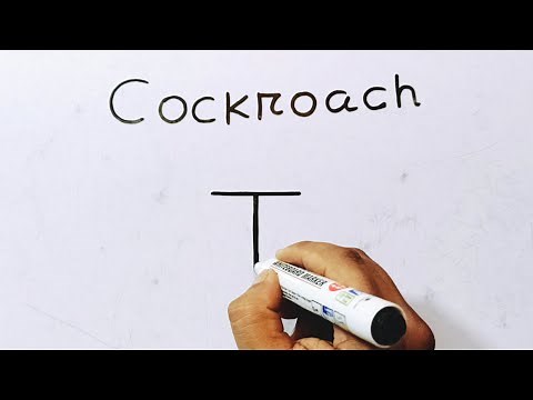 How To Draw A Beautiful Picture Of Cockroach From Letter T | Cockroach Drawing Step By Step Tutorial