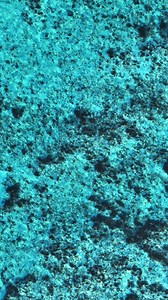 12K views · 140 reactions | Le bonheur façon Royal Palm Beachcomber...