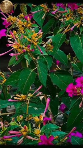 Cinematic Colour Grading Just Got Easier! | CapCut Pro Tip #viral #capcut #iphoneography #capcutedit