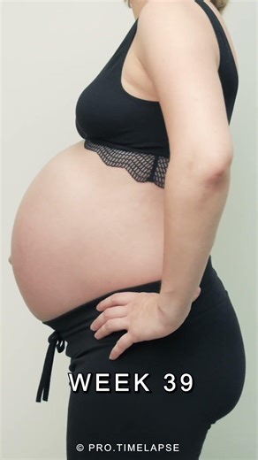 Week by Week | Pregnancy Time-Lapse