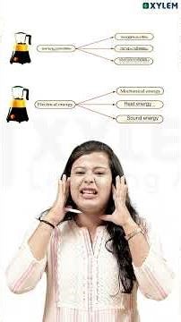 ക്രിസ്മസ് പരീക്ഷയ്ക്ക് ഇത് പഠിക്കാതെ പോകല്ലേ !! | Xylem Class 6