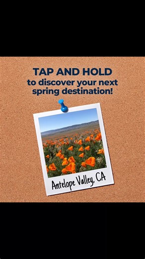 With spring right around the corner, you probably already planned at least one road trip. If not, just let our nifty randomizer give you ideas. You do you! | Blue Compass RV