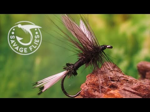 Fly Tying the Black Coachman (Dry Fly Variant)