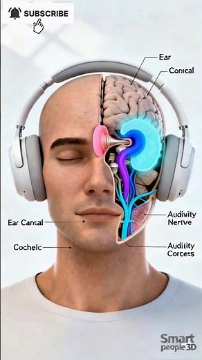 Can Headphones Damage Your Brain? What Really Happens When Volume Is Too Loud