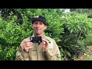 Canopy Open Door Alarm Product Overview