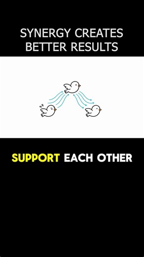 Synergy Creates Better Results - The 7 Habits Of Highly Effective People