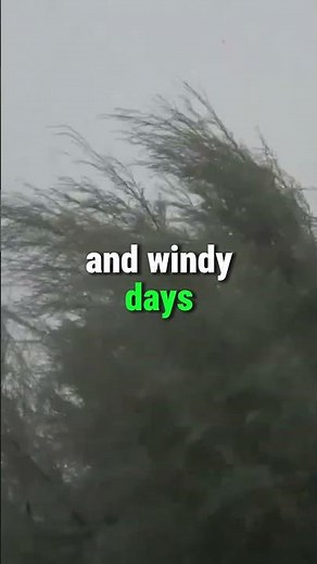 Offshore Wind Turbine Inspection Robot