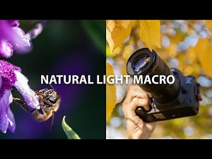 Why You NEED A MACRO Lens | Canon L-Series 100mm f2.8 Macro