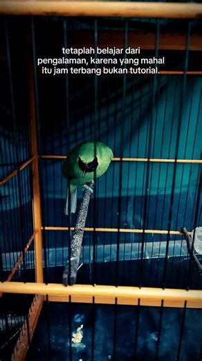 Welcome 2026: Celebrate the New Year in Style