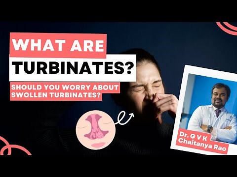 What are turbinates, its functions?