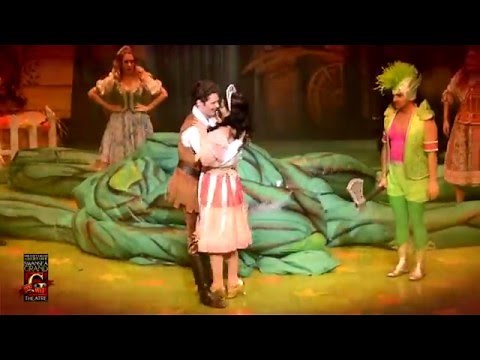 Jack and the Beanstalk Trailer 2015_16 Swansea Grand Theatre