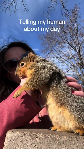 A Day in the Life of Peanut the Squirrel