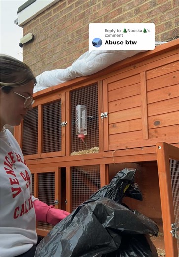 Cleaning My Beloved Guinea Pigs' Cage