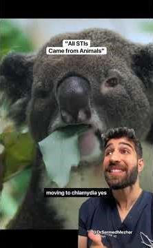 “All STIs Are from Animals” #wait