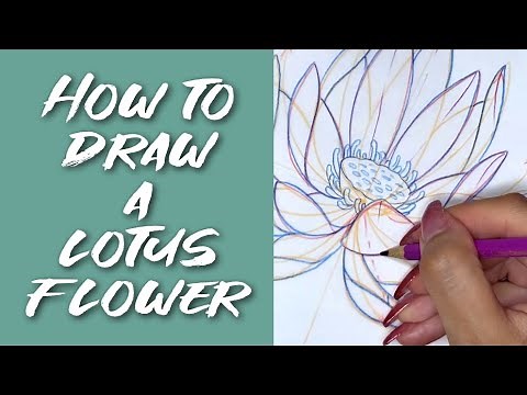 Episode 10: How to draw a LOTUS flower