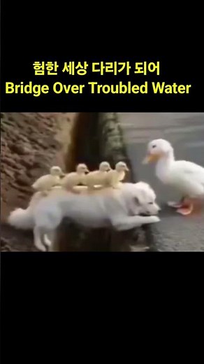 험한 세상 다리가 되어 = Bridge Over Troubled Water / 마이클김 편집