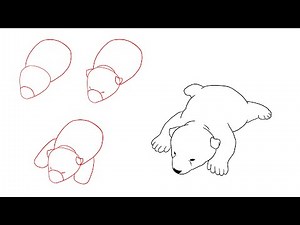 How to Draw a Cute Polar Bear Cub