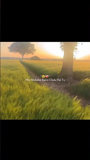 Dil Sambhal Ja Zara Song Lyrics #2027 #hindisong #lyrics #arijitsingh #mohammadirfan #saimbhat
