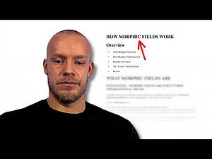 How Morphic Fields Work
