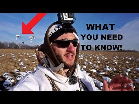 How to Set Giant Snow Goose Decoy Spreads!
