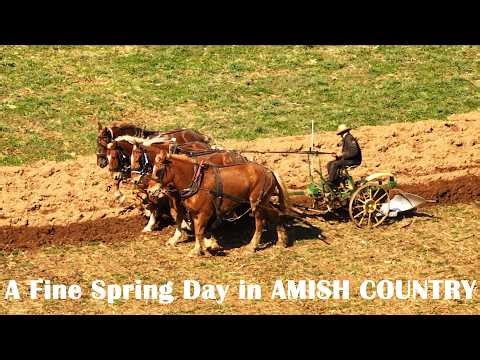 ONE Spring DAY in Amish Country...Horses, Mules, and Tractors Preparing the Fields for Planting