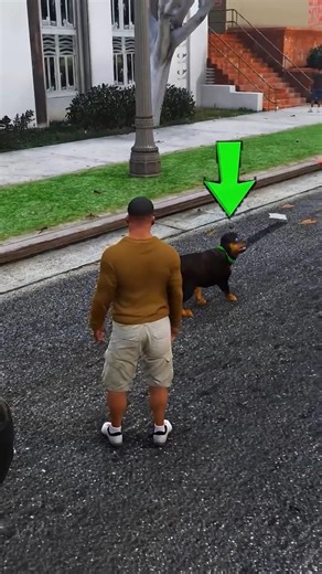 I Followed Chop After Franklin Sent Him Home in GTA 5! (What Happened?) #gta5 #gta
