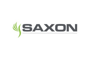 Insurance firm Indigo to merge with Saxon